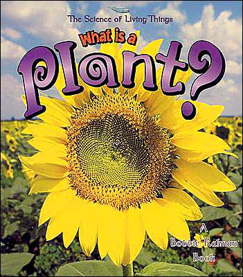 What Is a Plant?