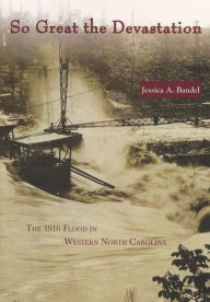 Title: So Great the Devastation: The 1916 Flood in Western North Carolina, Author: Jessica A. Bandel