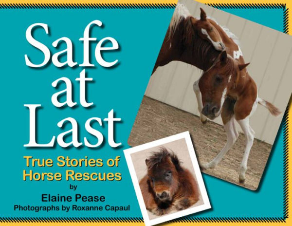 Safe at Last: True Stories of Horse Rescues