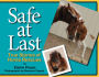 Safe at Last: True Stories of Horse Rescues