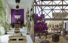 Alternative view 8 of Carlos Mota: Purple Fever