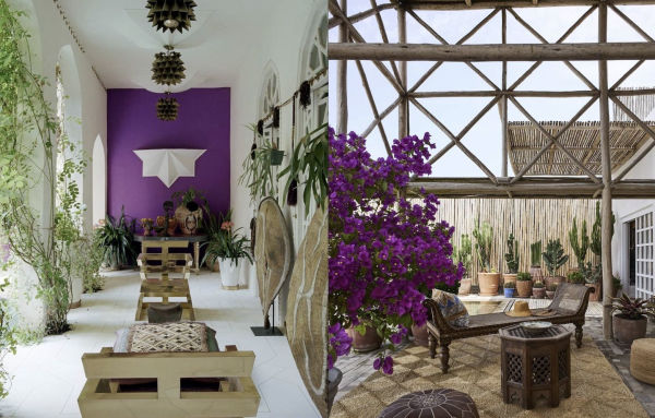 Carlos Mota: Purple Fever