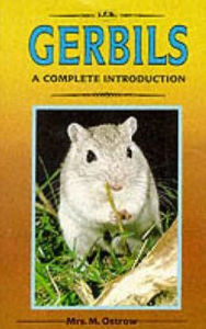 Title: A Complete Introduction to Gerbils, Author: Marshall E. Ostrow