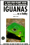 Title: Iguanas As a Hobby, Author: Shelly K. Ferrell