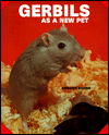 Title: Gerbils as a New Pet, Author: Anmaire Barrie