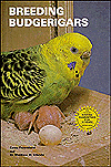 Title: Breeding Budgerigars, Author: Cessa Feyerabend