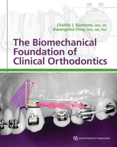 健康・医学 The Tooth Preparation Amazon.com : The Doctor's BrushPicks Interdental Toothpicks