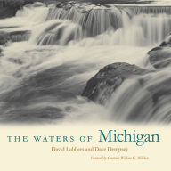 Title: The Waters of Michigan, Author: David Lubbers