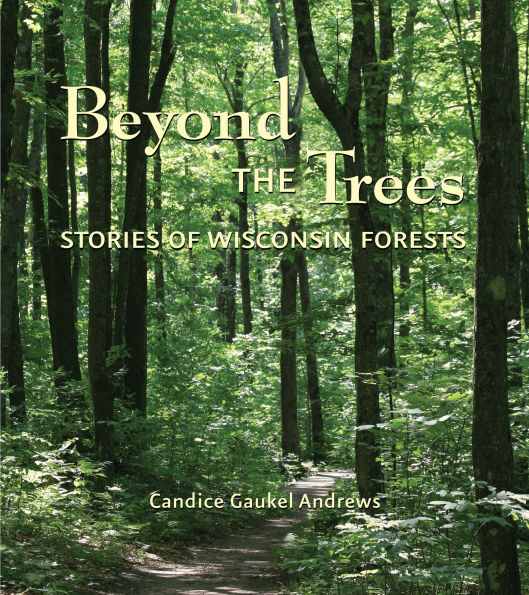 Beyond the Trees: Stories of Wisconsin Forests