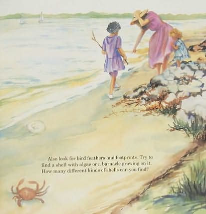 Chesapeake Bay Walk