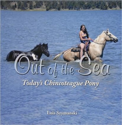 Out Of The Sea Today S Chincoteague Pony By Lois