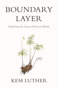 Title: Boundary Layer: Exploring the Genius Between Worlds, Author: Kem Luther