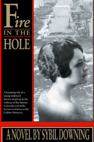 Title: Fire in the Hole, Author: Sybil Downing