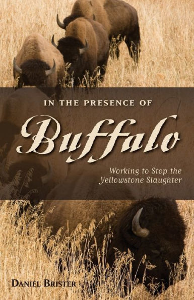 the Presence of Buffalo: Working to Stop Yellowstone Slaughter