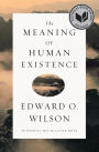 The Meaning of Human Existence