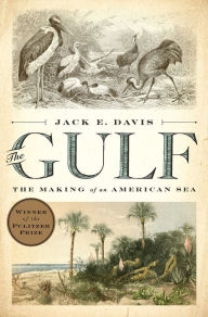 Title: The Gulf: The Making of An American Sea, Author: Jack E. Davis