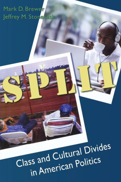 Split: Class and Cultural Divides in American Politics / Edition 1