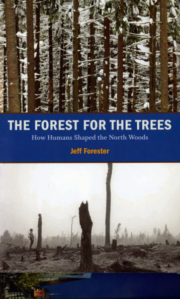 The Forest for the Trees: How Humans Shaped the North Woods