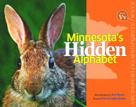 Title: Minnesota's Hidden Alphabet, Author: Joe Rossi