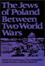 The Jews Of Poland Between Two World Wars / Edition 1