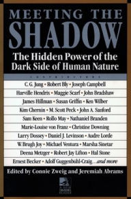 Title: Meeting the Shadow: The Hidden Power of the Dark Side of Human Nature, Author: Connie Zweig
