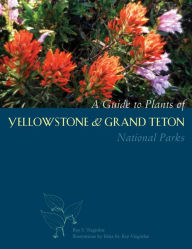 Title: Guide to Plants of Yellowstone and Grand Teton National Parks, Author: Ray S Vizgirdas