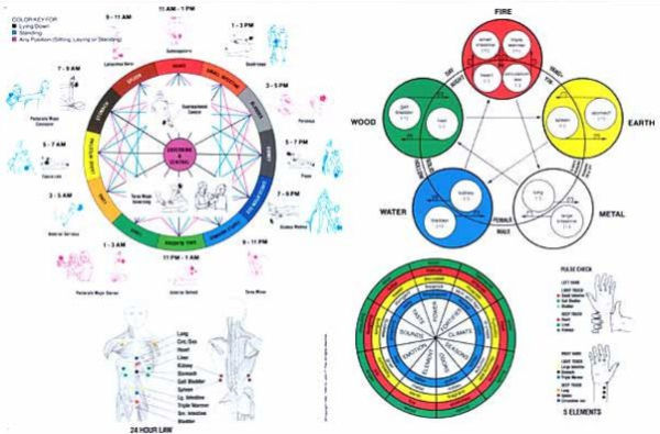 TOUCH FOR HEALTH Handy Assessment Chart: With 111 Metaphors on Reverse Side