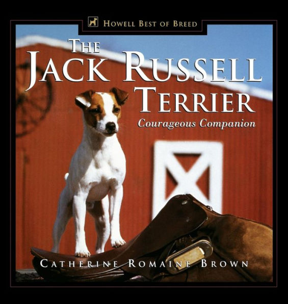 The Jack Russell Terrier: Courageous Companion