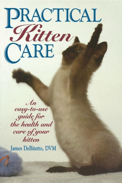 Practical Kitten Care