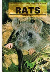 Title: Rats, Author: Susan Fox