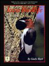 Title: Iowa Birdlife, Author: Gladys Black