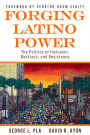 Forging Latino Power: The Politics of Inclusion, Backlash, and Resistance