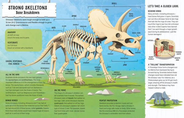 Dinosaurs: 400 Words for Budding Paleontologists