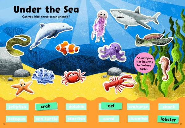 Merriam-Webster's Ready-for-School Sticker Book: 250 Words for Big Kids