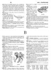 Alternative view 4 of Merriam-Webster's Intermediate Dictionary