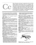 Alternative view 5 of Merriam-Webster's Dictionary for Children