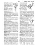 Alternative view 4 of Merriam-Webster's School Dictionary