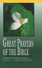 Great Prayers of the Bible: 12 Studies for Individuals or Groups