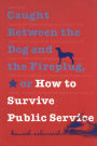 Caught Between the Dog and the Fireplug, or How to Survive Public Service