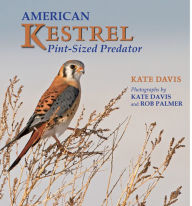 Title: American Kestrel: Pint-Sized Predator, Author: Kate Davis