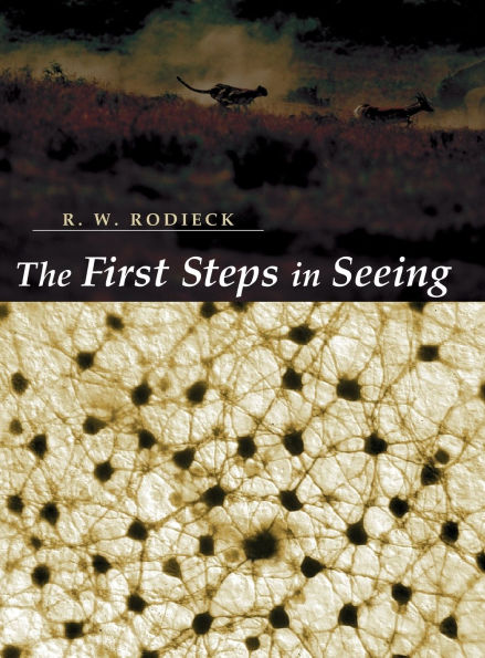 The First Steps in Seeing / Edition 1