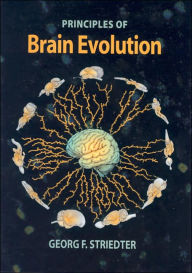 Title: Principles of Brain Evolution / Edition 1, Author: Georg F. Striedter