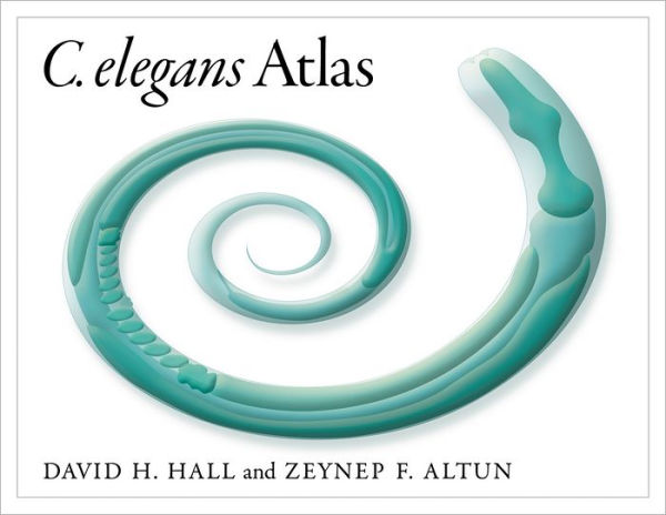 C. Elegans Atlas