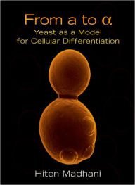 Title: From A to Alpha: Yeast as a Model for Cellular Differentiation / Edition 2, Author: Hiten D. Madhani