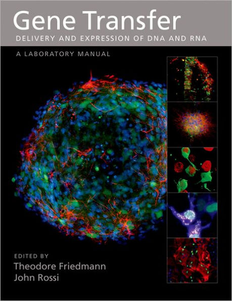 Gene Transfer: Delivery and Expression of DNA and RNA: A Laboratory Manual