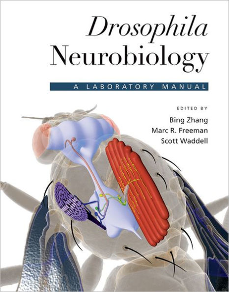 Drosophila Neurobiology: A Laboratory Manual