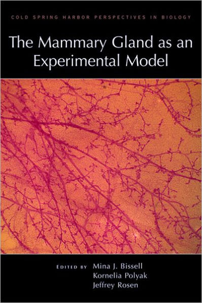 The Mammary Gland as an Experimental Model