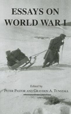 Essays on World War I