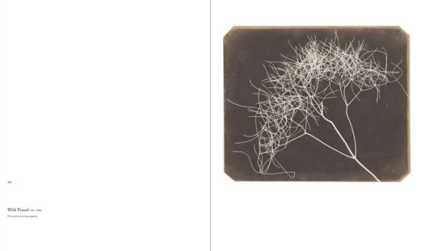 William Henry Fox Talbot and the Promise of Photography