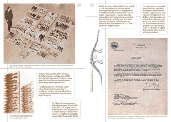 Sharif Bey: Excavations